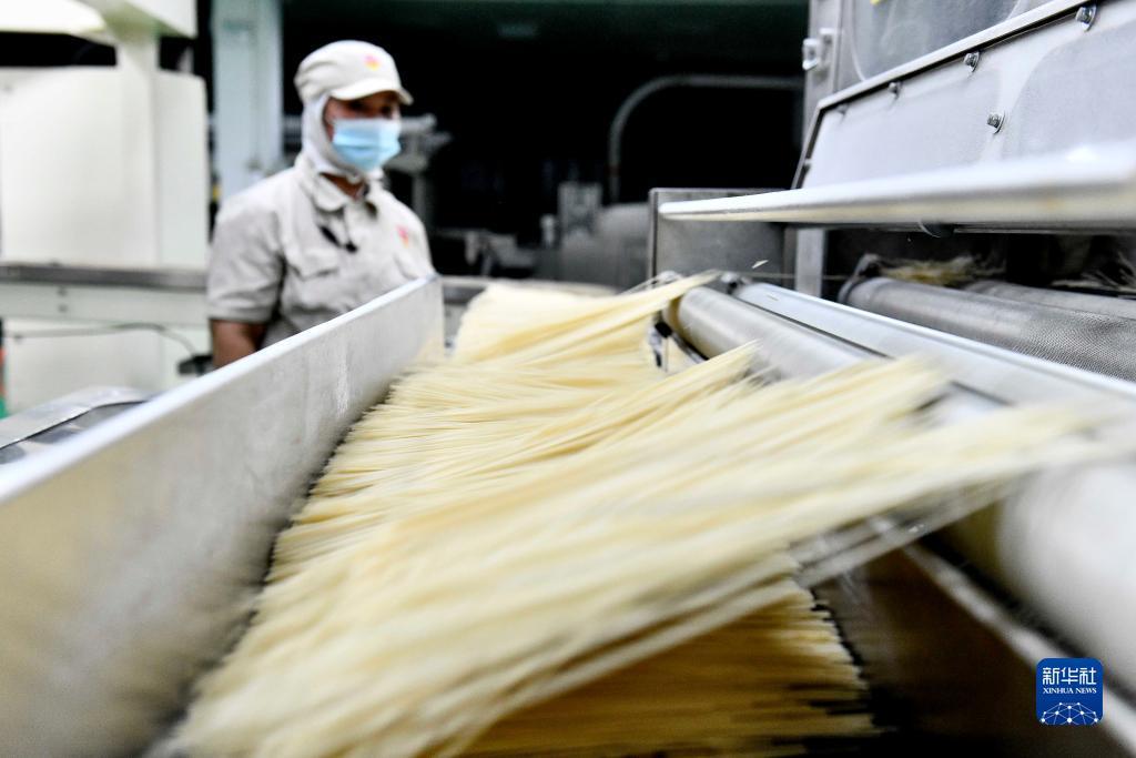 博金国际下载